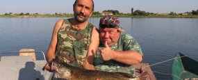 Добро пожаловать